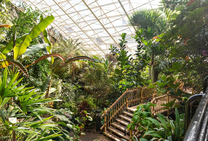 Foellinger-Freimann Botanical Conservatory, United States
